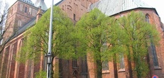 Отели в Колобжег