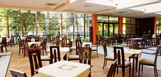 Отели в Албена