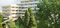 Отели в Сочи